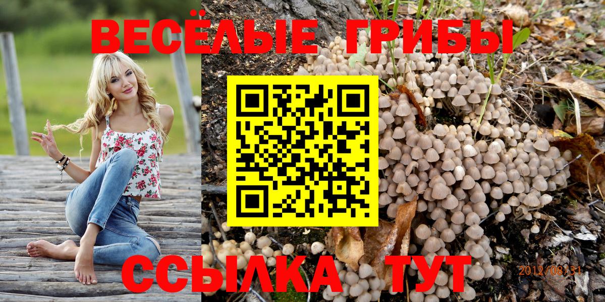 Галлюциногенные грибы мицелий Горно-Алтайск