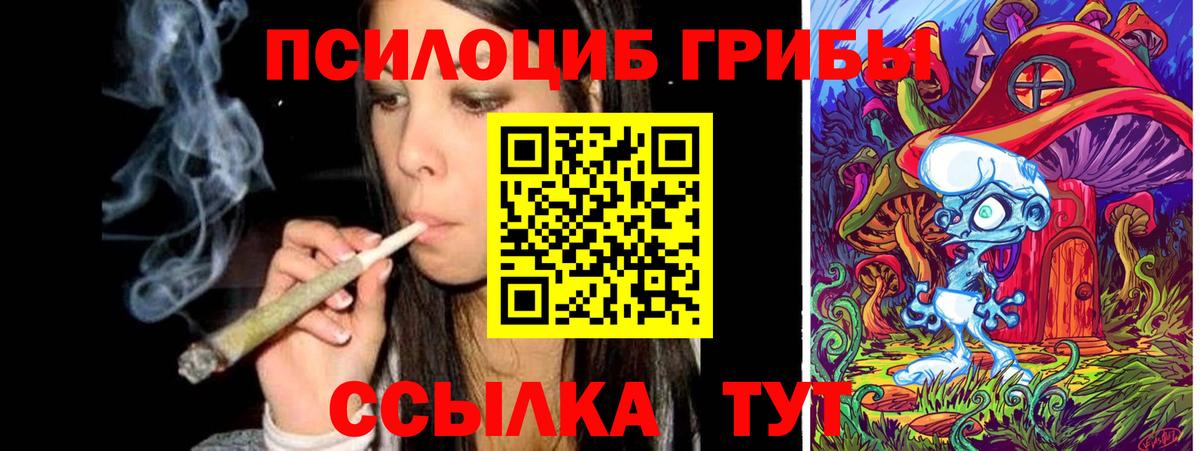 Псилоцибиновые грибы Magic Shrooms  Вход с VPN  как найти   Горно-Алтайск 